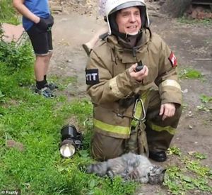 Томские пожарные реанимировали кошку