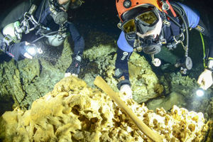 В подводной пещере нашли артефакты, которым 9 тысяч лет