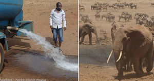 Знакомьтесь: ″Человек-вода″ из Африки, который дает напиться диким животным