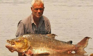 10 самых опасных рыб, выловленных в реках