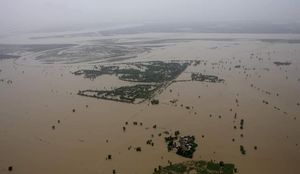 Это не кадры из фильма ужасов: Пауки спасаются от наводнения в Пакистане