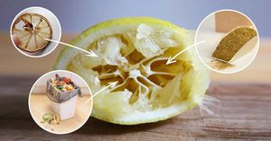 6 новых способов использования лимона в хозяйстве