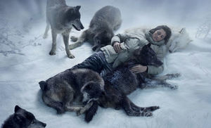 Волк вышел из леса и спас человека из ледяного плена