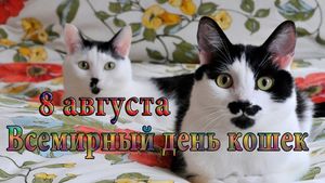 С праздником,котейки)))