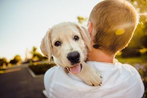 Ученые опубликовали 10 пунктов, которые помогут сделать вашу собаку счастливее