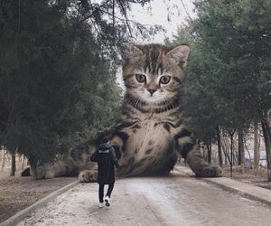 Если бы кошки были большими