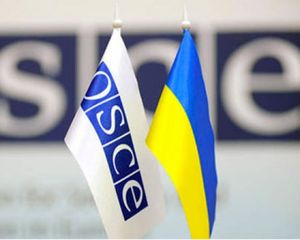 СММ ОБСЕ Украины - гнать из Крыма в шею