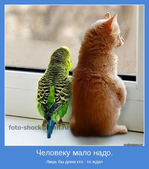 Улыбнись! Сегодня ТВОЙ день! Ты со всем справишься БЛЕСТЯЩЕ!