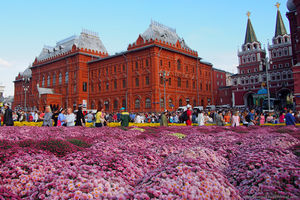 Четыре тысячи хризантем на Манежной площади