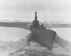 Что нашли советские подводники на тайной базе Третьего Рейха в Антарктиде