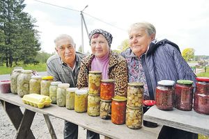 Собиратели c земли русской: как живут поселки, где заработать можно только продажей грибов на трассе