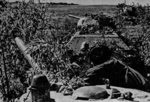 Как мог танкист Шолохов подбить в одном бою 25 немецких танков