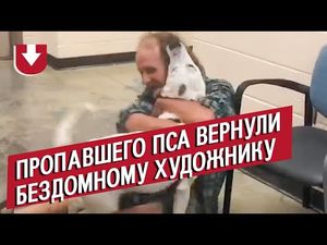 В приюте для животных нашли пропавшего месяц назад пса: смотрите, как он встречается с хозяином