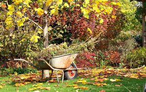 Уход за садом осенью — защита, подкормка, полив