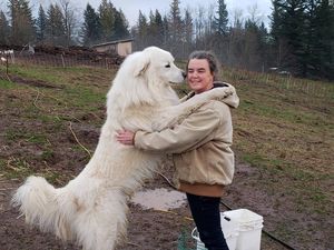 Счастливые эмоций не скрывают! Фото радостных пёсиков, которых только что усыновили