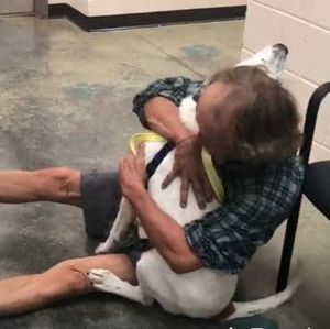 Бездомный мужчина потерял верного пса. Радость от долгожданной встречи была безгранична