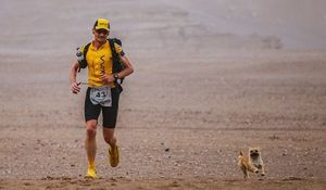 Бездомный пес обрел хозяина во время 155-мильного забега — ЕЩЁ