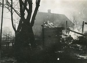 «Во дворе было найдено двенадцать голов»: воспоминания пережившего Волынскую резню