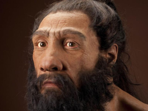 Почему неандертальцы были умнее нас, но всё равно вымерли?