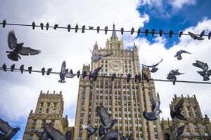 ЦРУ рассекретило данные о подготовке голубей-шпионов, которые должны были летать в СССР для съемки секретных объектов