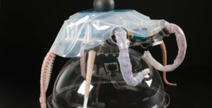 Разработан мягкотелый робот-осьминог