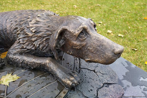 Памятник бездомным животным в Москве