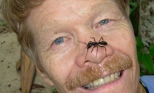 Энтомолог испытал на себе самые болезненные укусы насекомых и составил шкалу боли
