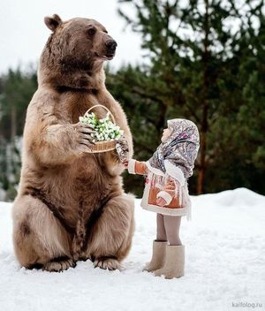 Животный позитив