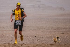 Эта собака следовала за марафонцем на протяжении всего забега, более 100 км по пустыне, а потом он забрал её домой.