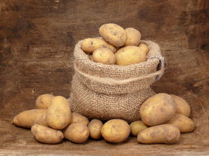 Готовим грядки под картофель: самые важные дела осенью