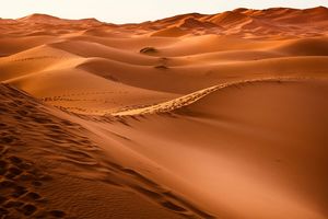 Как глубоки пески Сахары