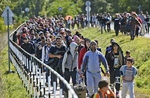 Власти призвали шведов сдавать свои дома беженцам.
