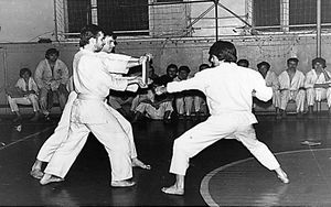 «Дело Гусева»: за что в 1983 году в СССР посадили тренера карате