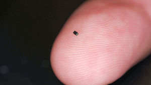 OmniVision OV6948 – самая маленькая в мире камера размером с песчинку
