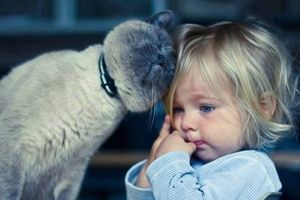 Кошка жалеет девочку. С таким верным другом не страшно пережить любое невезение!