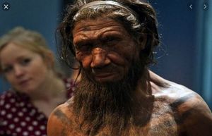 10 недавних открытий, которые приподнимают завесу тайны над неандертальцами