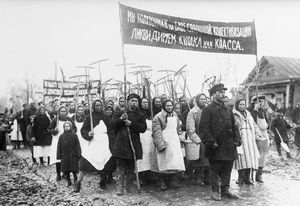 Коллективизация в СССР: почему погибло 7 миллионов человек