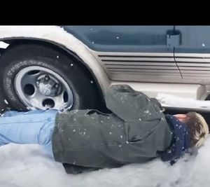 Шел сильный снег, а под фургоном замерзал бездомный пес