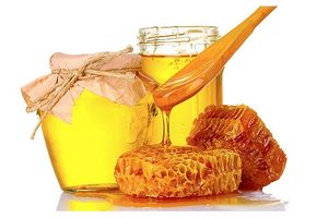 Польза меда и интересные факты о меде