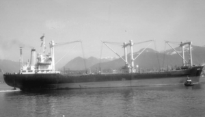 Инцидент с попыткой пиратов захватить корабль, в котором оказались «черные береты» СССР