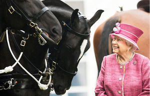 Как проходят элитные скачки Royal Ascot