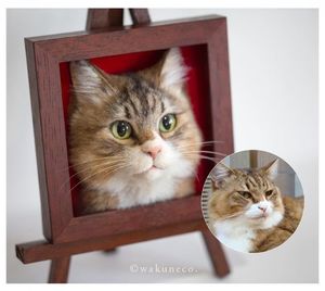 Новый японский тренд – 3D-портреты кошек