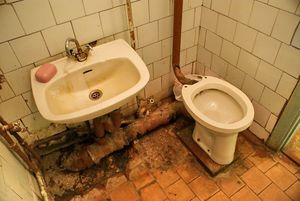СССР — страна немытых туалетов.