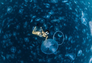 Удивительные фото, на которых фридайверы исследуют океан, кишащий медузами