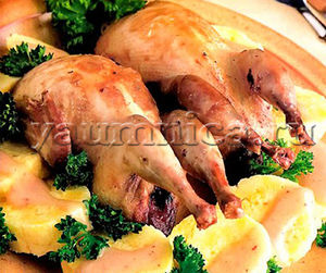 Вкусные цыплята в сметане с сырными кнелями – рецепт приготовления