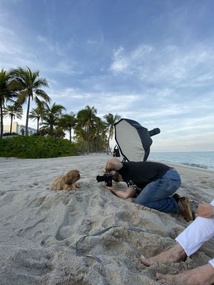 Закат, пляж и ветерок: неотразимые фотографии милашки-пса