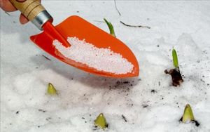 Какие удобрения можно внести по снегу