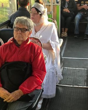 В троллейбусах тоже ездят странные и необычные пассажиры (13 фото)