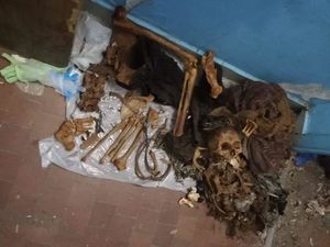 Женщина принесла домой скелет и спрятала в шкафу