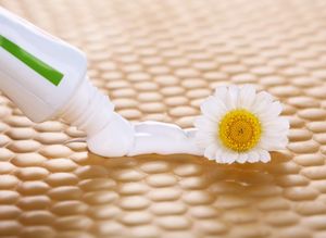 Зубная паста в саду и огороде – секреты применения популярного средства гигиены